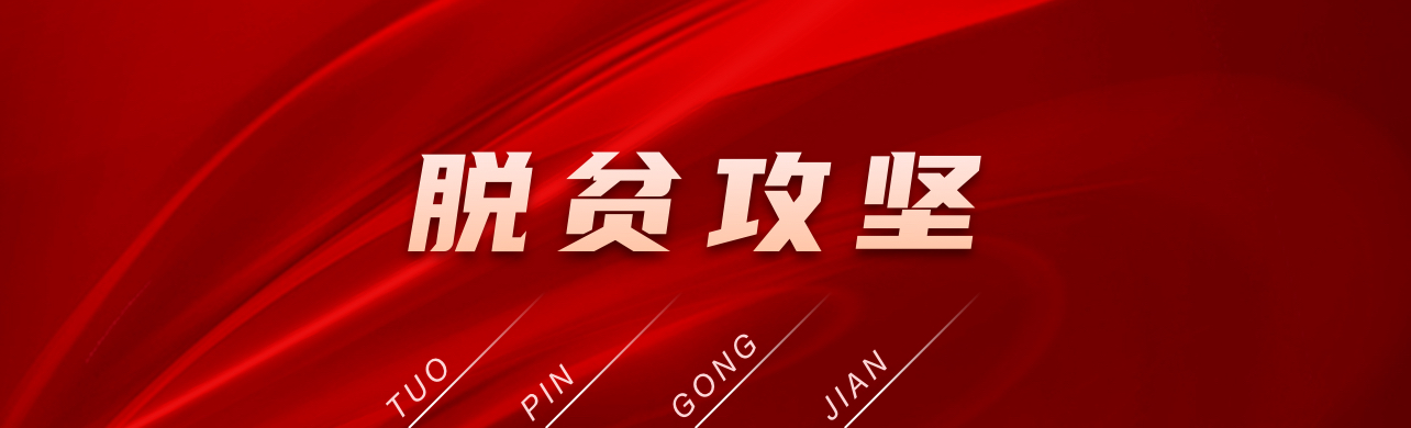 脫貧攻堅(jiān).jpg